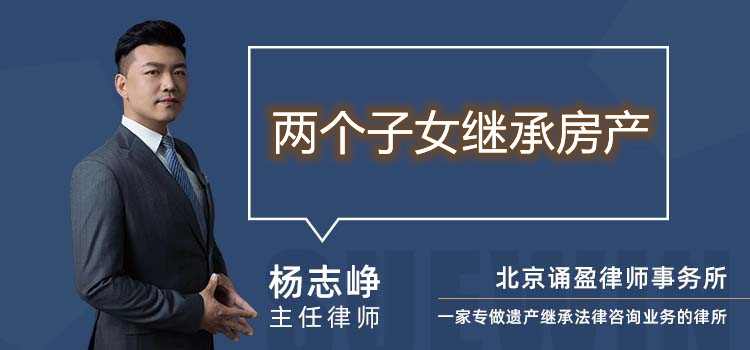 兩個子女繼承房產