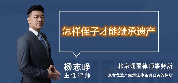 怎樣侄子才能繼承遺產(chǎn)