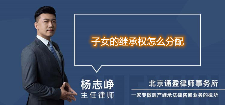 子女的繼承權(quán)怎么分配